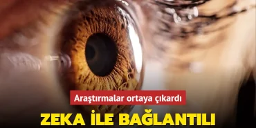 bilim-insanlari-arastirdi-780 (1)