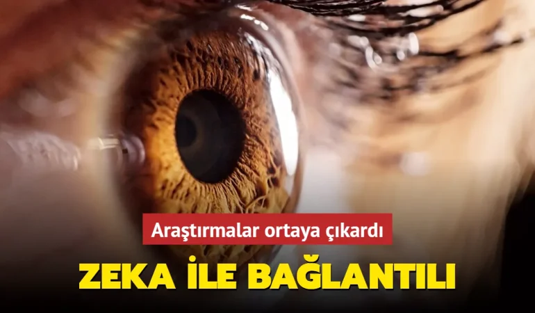 bilim-insanlari-arastirdi-780 (1)