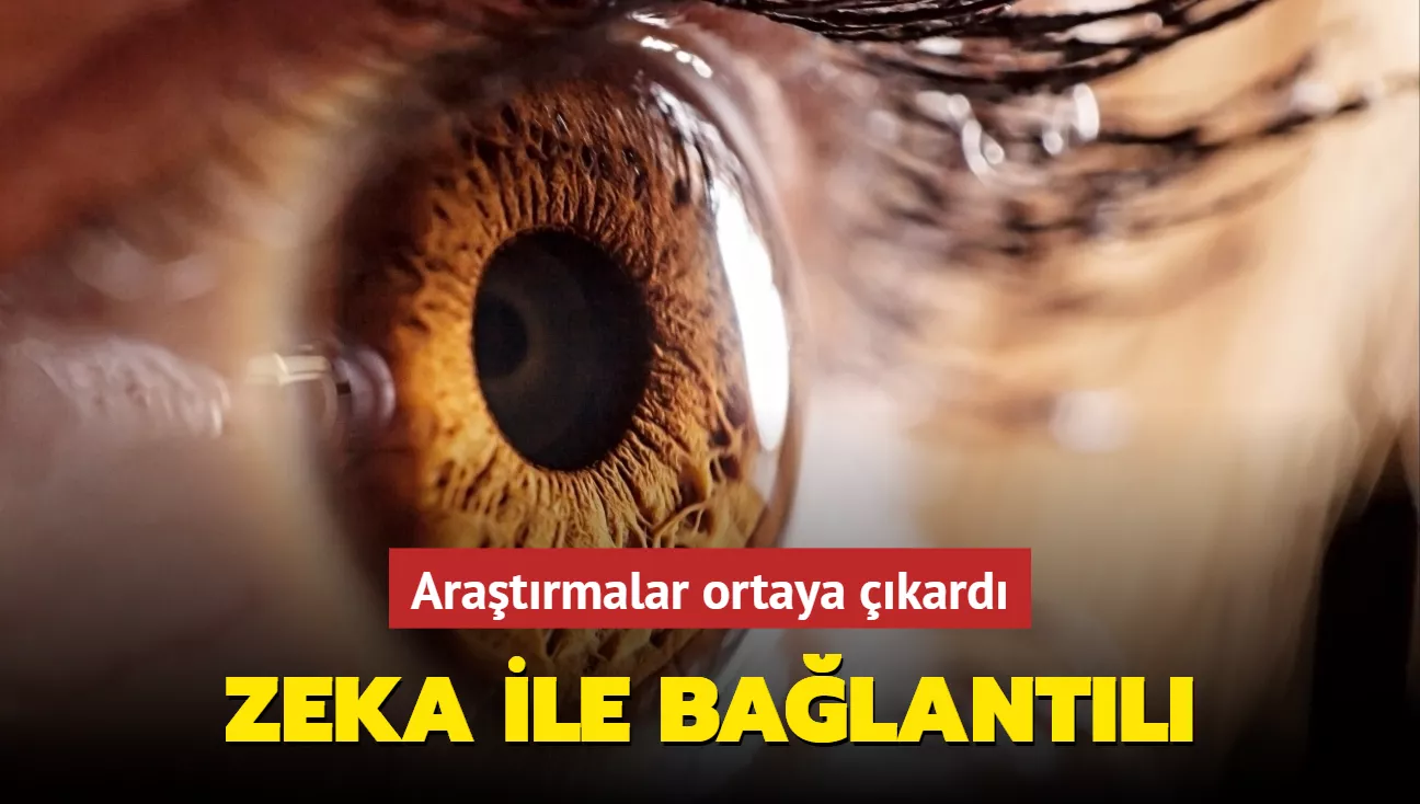 bilim-insanlari-arastirdi-780 (1)