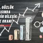 RESMİ GAZATEDE YAYINLANDI (15)