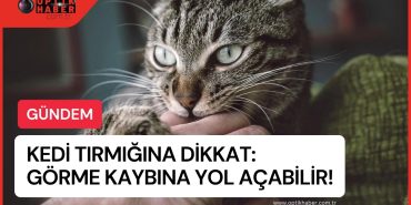 Optikhaber tasarımları (1)