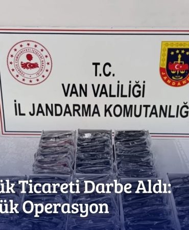 Optikhaber ştasarımları